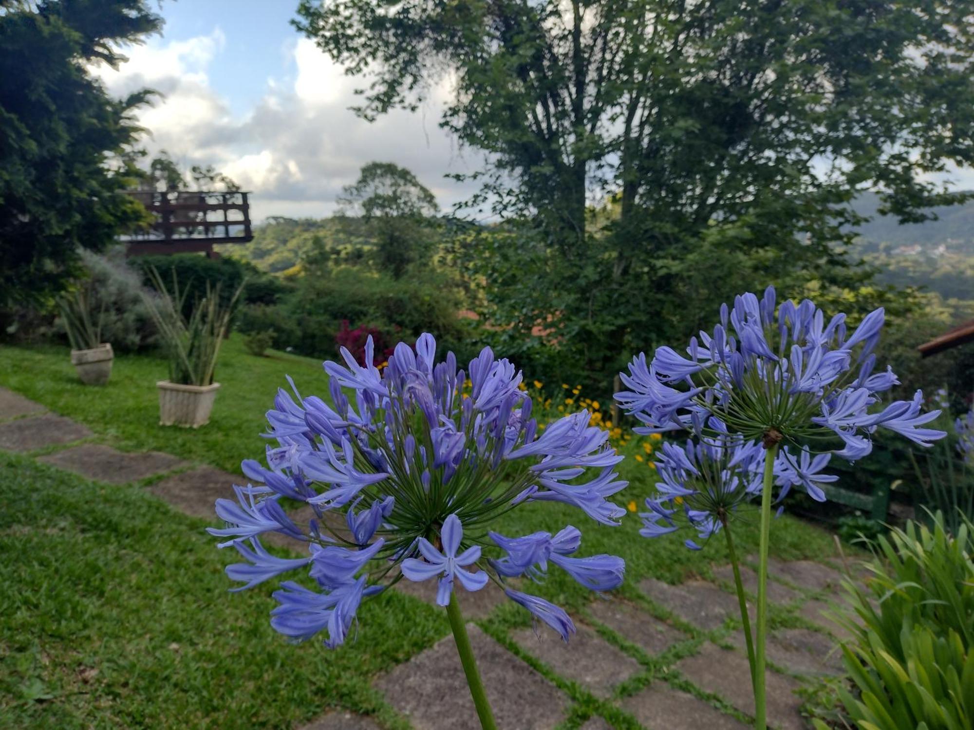 Chale Recanto Bela Vista Monte Verde  Eksteriør billede